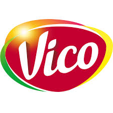 Vico : Développement et intégration du site web